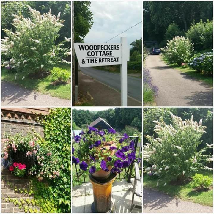 Woodpeckers Cottage B&B Pett Exterior foto